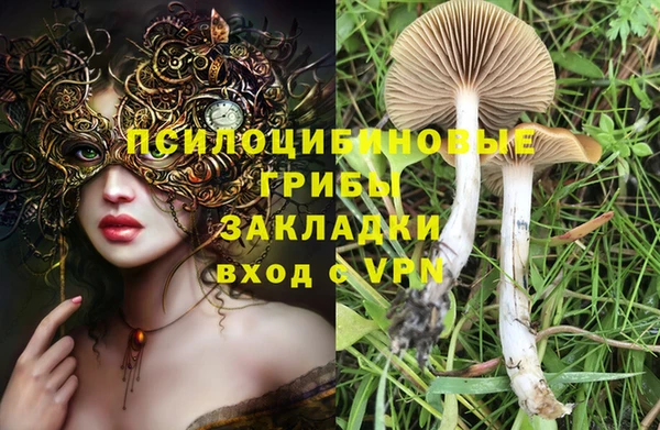 кокс Володарск