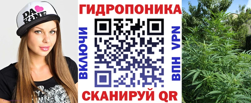 Каннабис сатива  Верхоянск 